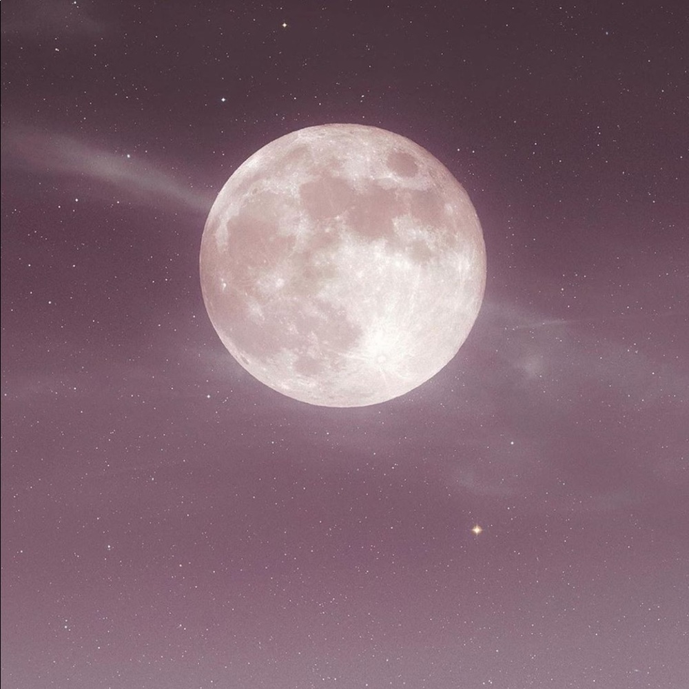 Meet your Posher, Luna